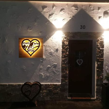 Studio Srce Kranjska Gora Eksteriør billede